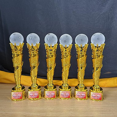 Cúp lưu niệm Pickleball vương miện cao 30 cm