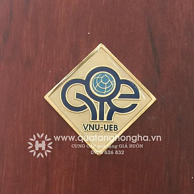 Huy hiệu VNU-UEB