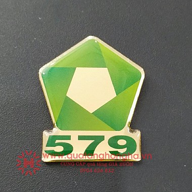 Huy hiệu công ty 579